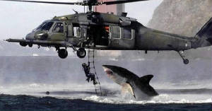 owned_coastguard.jpg
